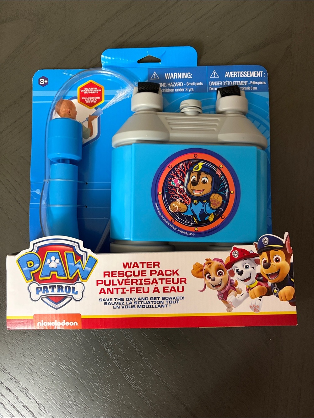 Nickelodeon PAW Patrol Blue and Gray Water Rescue Pack